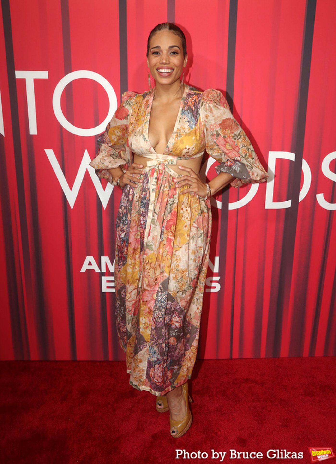 Photos: The Stars Arrive at Opening Night of INTO THE WOODS  Image
