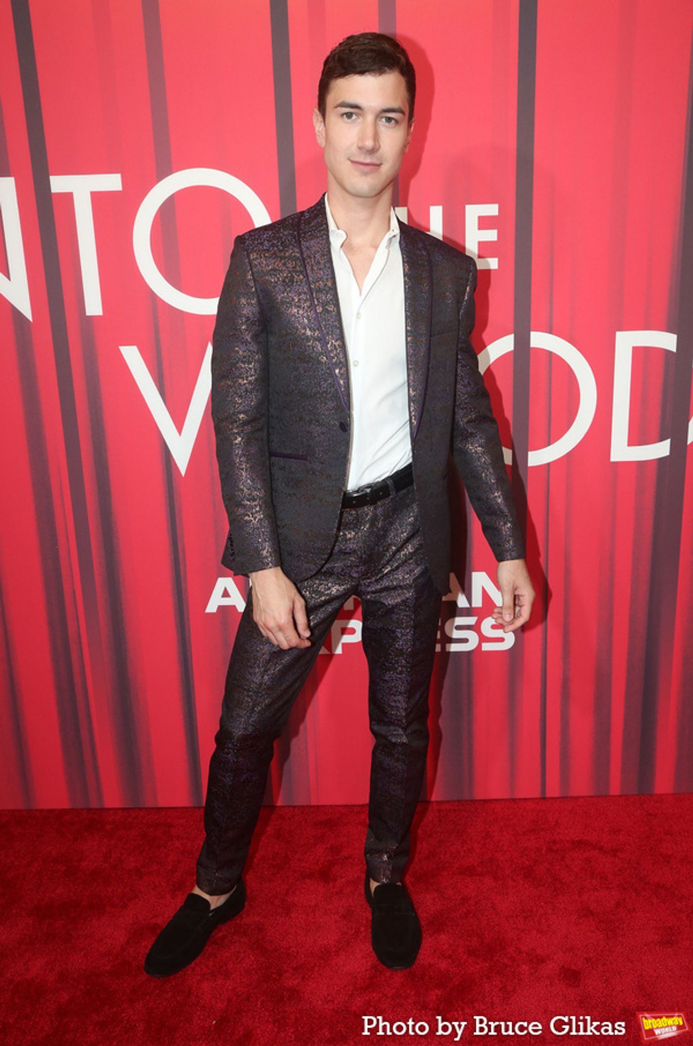 Photos: The Stars Arrive at Opening Night of INTO THE WOODS  Image