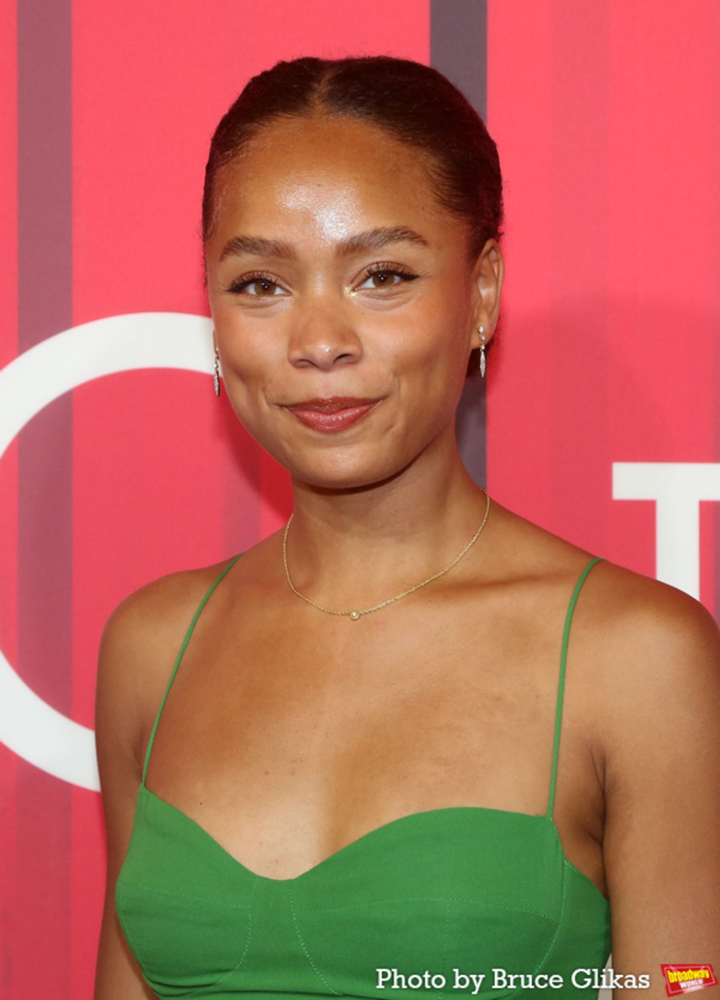 Photos: The Stars Arrive at Opening Night of INTO THE WOODS  Image