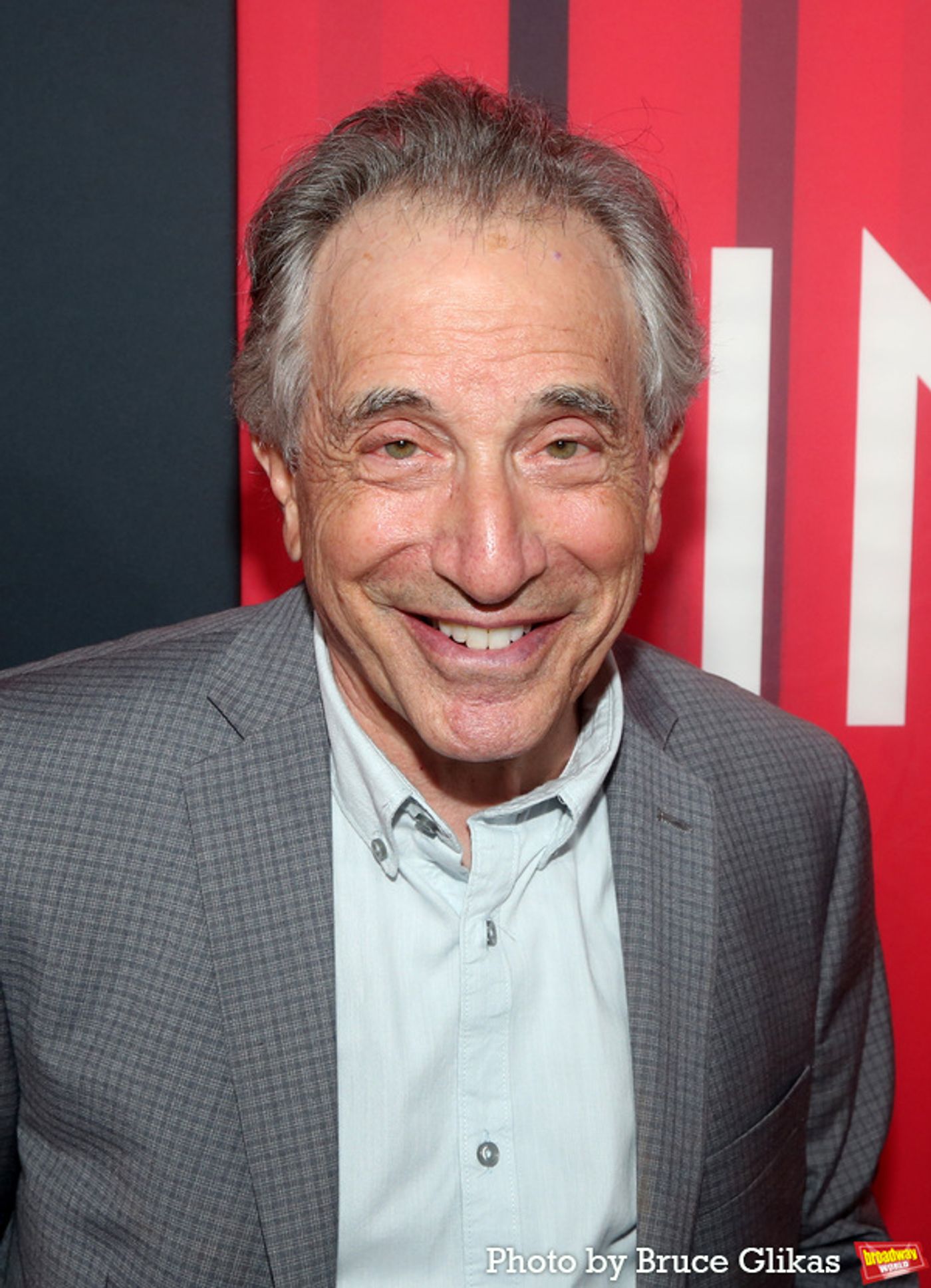 Photos: The Stars Arrive at Opening Night of INTO THE WOODS  Image