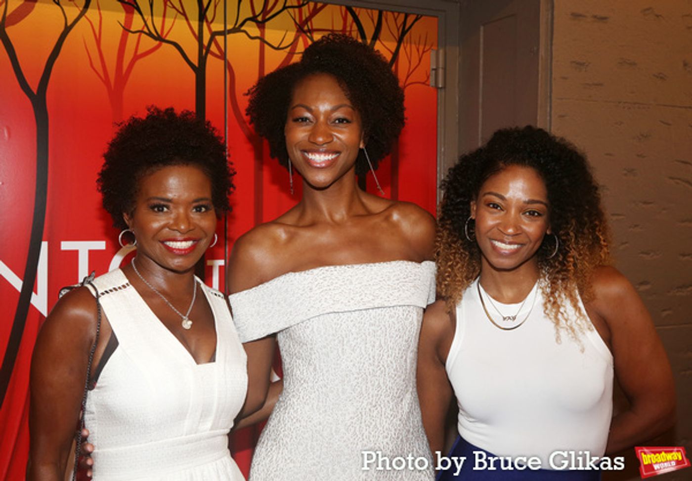 Photos: The Stars Arrive at Opening Night of INTO THE WOODS  Image