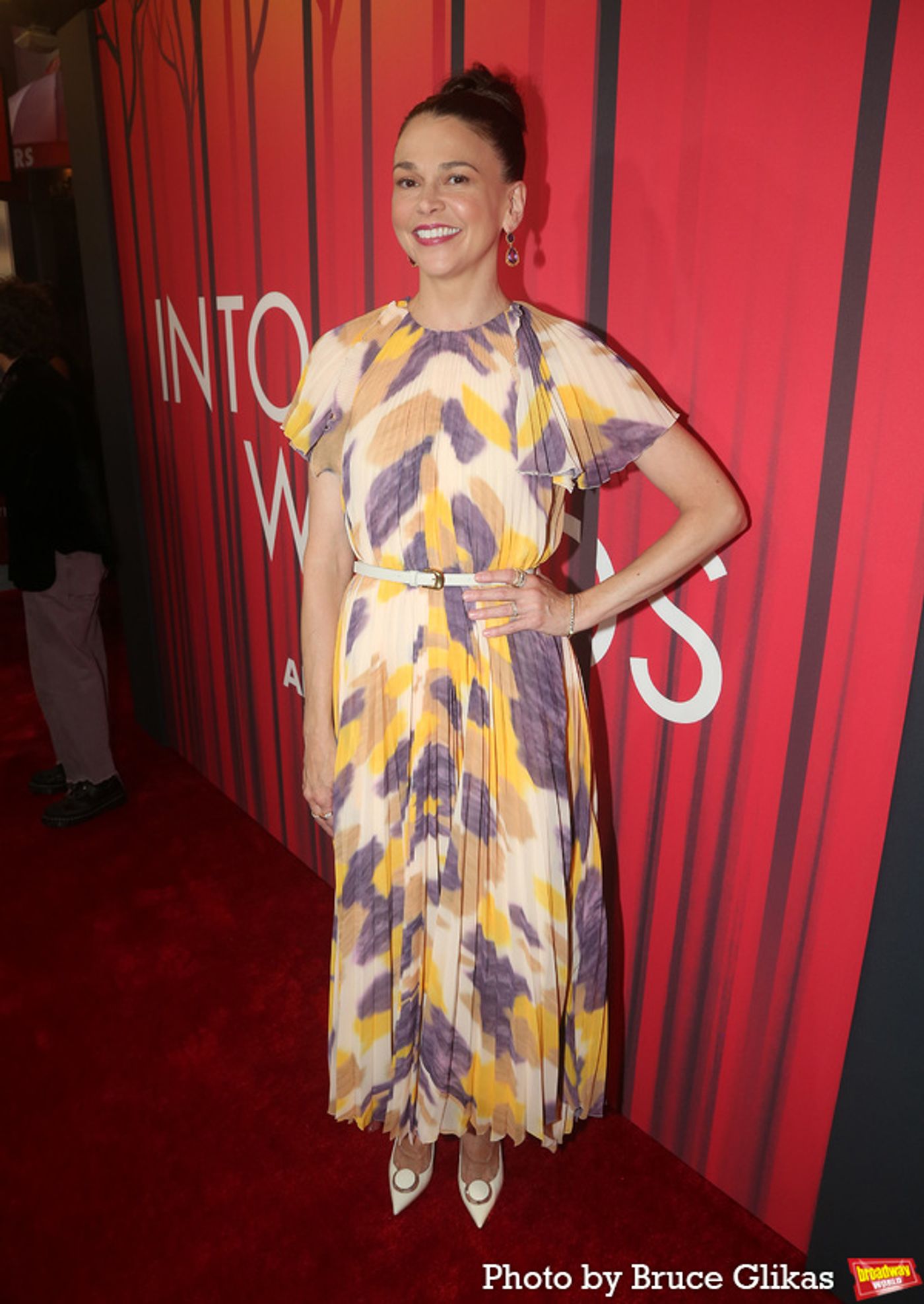 Photos: The Stars Arrive at Opening Night of INTO THE WOODS  Image