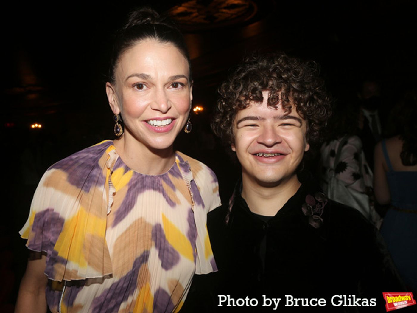 Photos: The Stars Arrive at Opening Night of INTO THE WOODS  Image