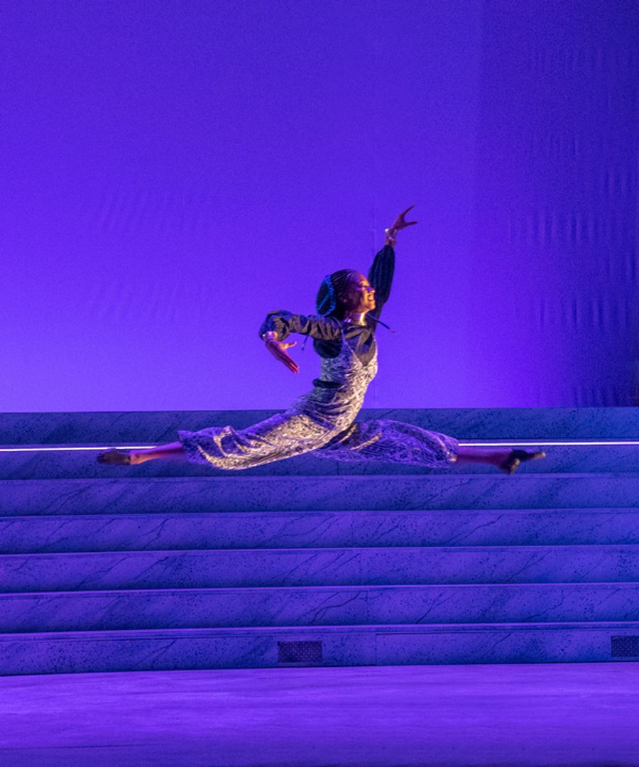 Photos: First Look at Classical Theatre of Harlem's TWELFTH NIGHT Image