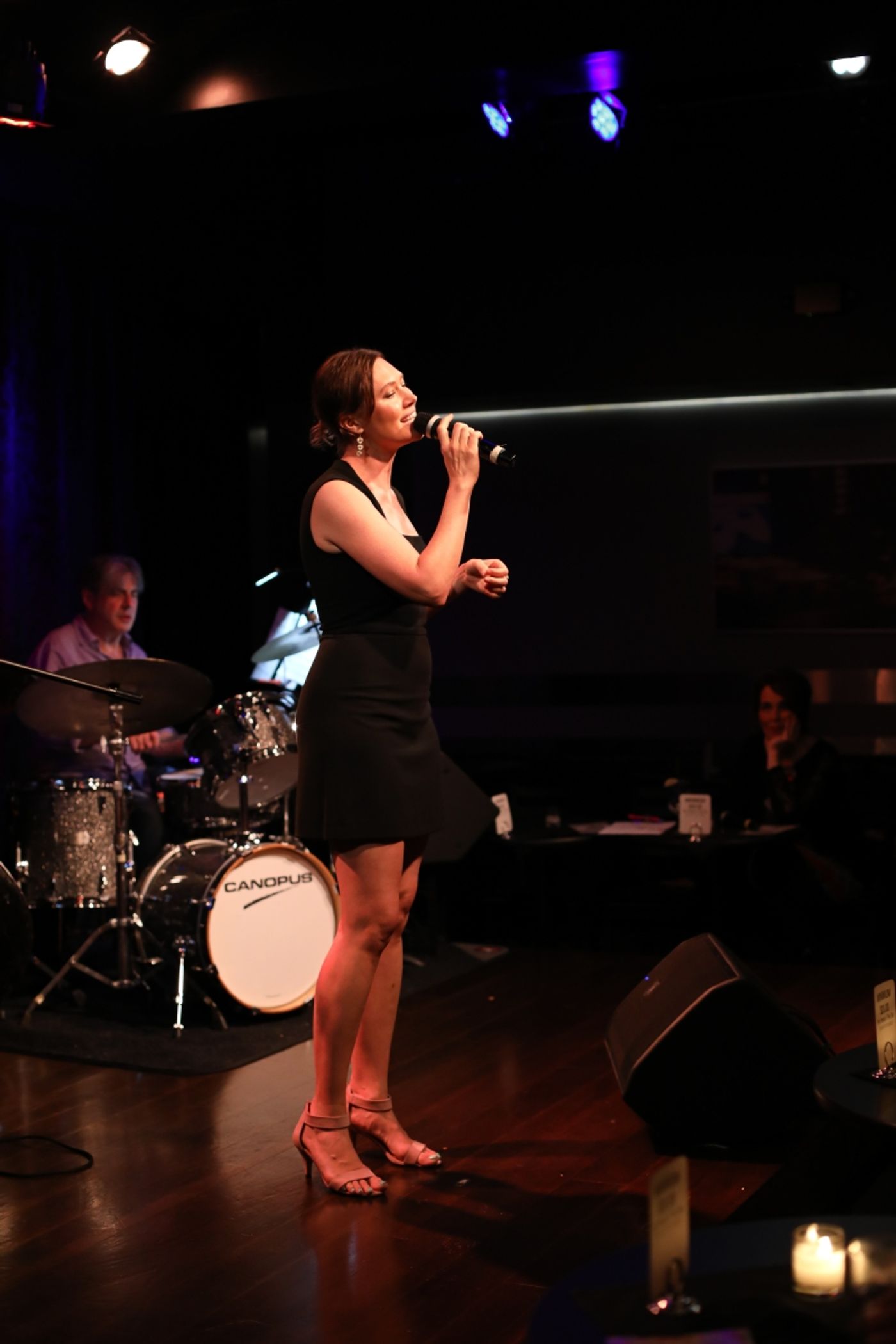 Photos: July 5th THE LINEUP WITH SUSIE MOSHER at Birdland Theater by Photographer Chris Ruetten  Image