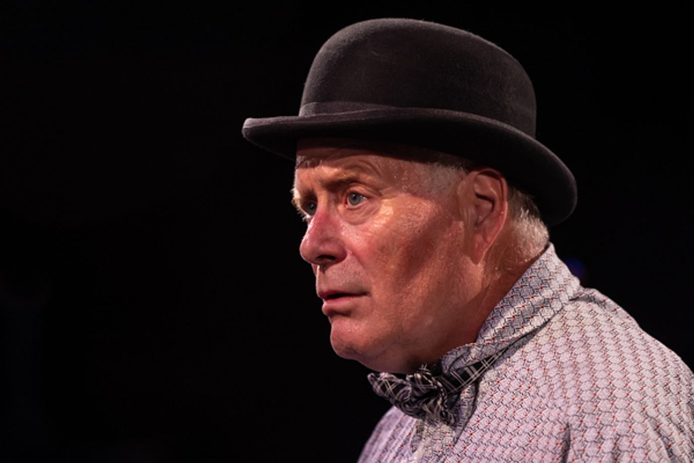 Photos: First look at Red Herring Theater's WAITING FOR WAITING FOR GODOT Photos: First look at Red Herring Theater's WAITING FOR WAITING FOR GODOT Image