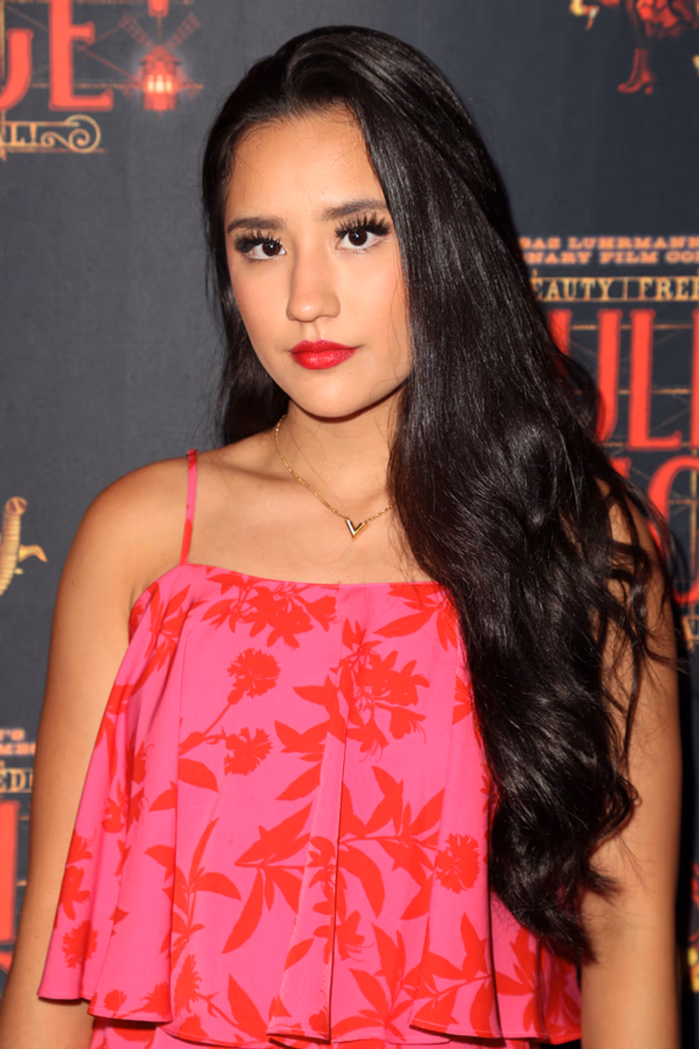 Photos: On the Red Carpet at Opening Night of MOULIN ROUGE! in Hollywood  Image