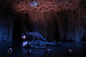 Dawn Stern and Stephan Wolfert Photo