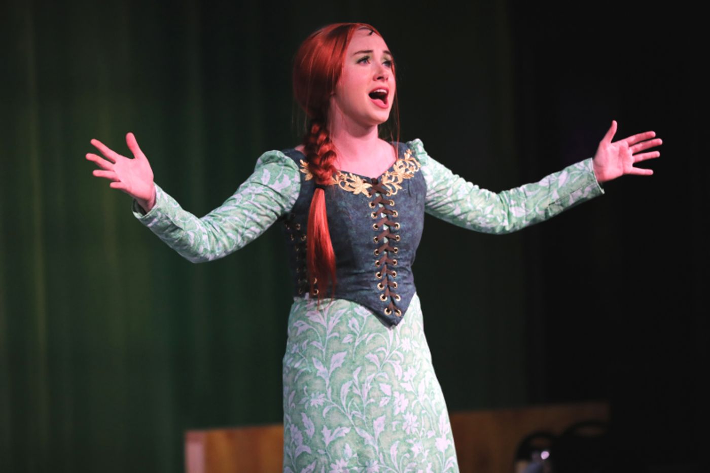 Review: SHREK! THE MUSICAL at Murry's Dinner Playhouse is Fun for The Entire Family  Image