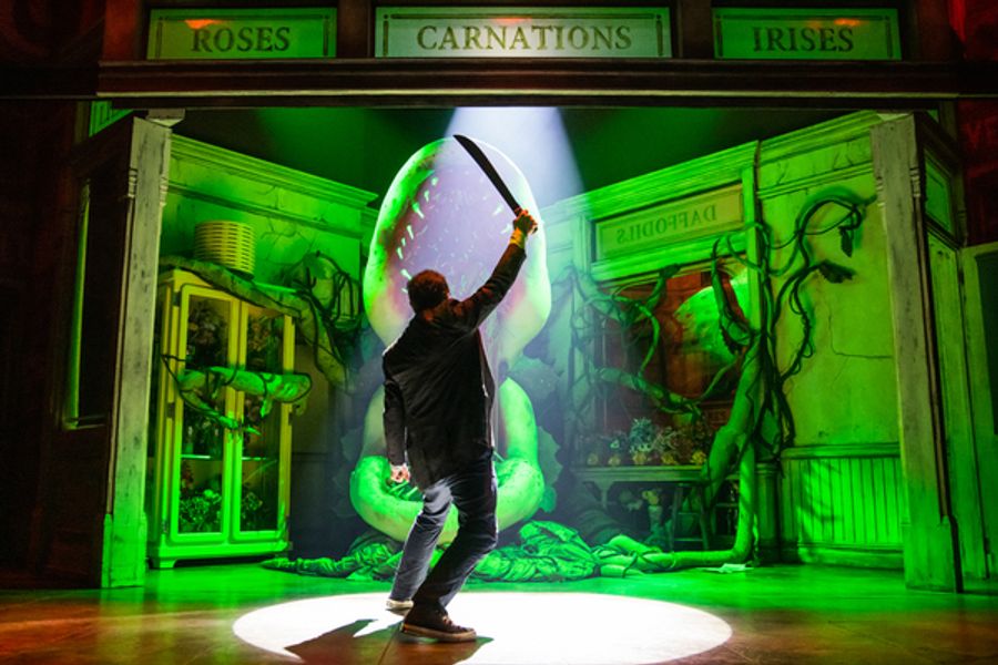 Photos: First Look at Rob McClure as 'Seymour' in LITTLE SHOP OF HORRORS Image