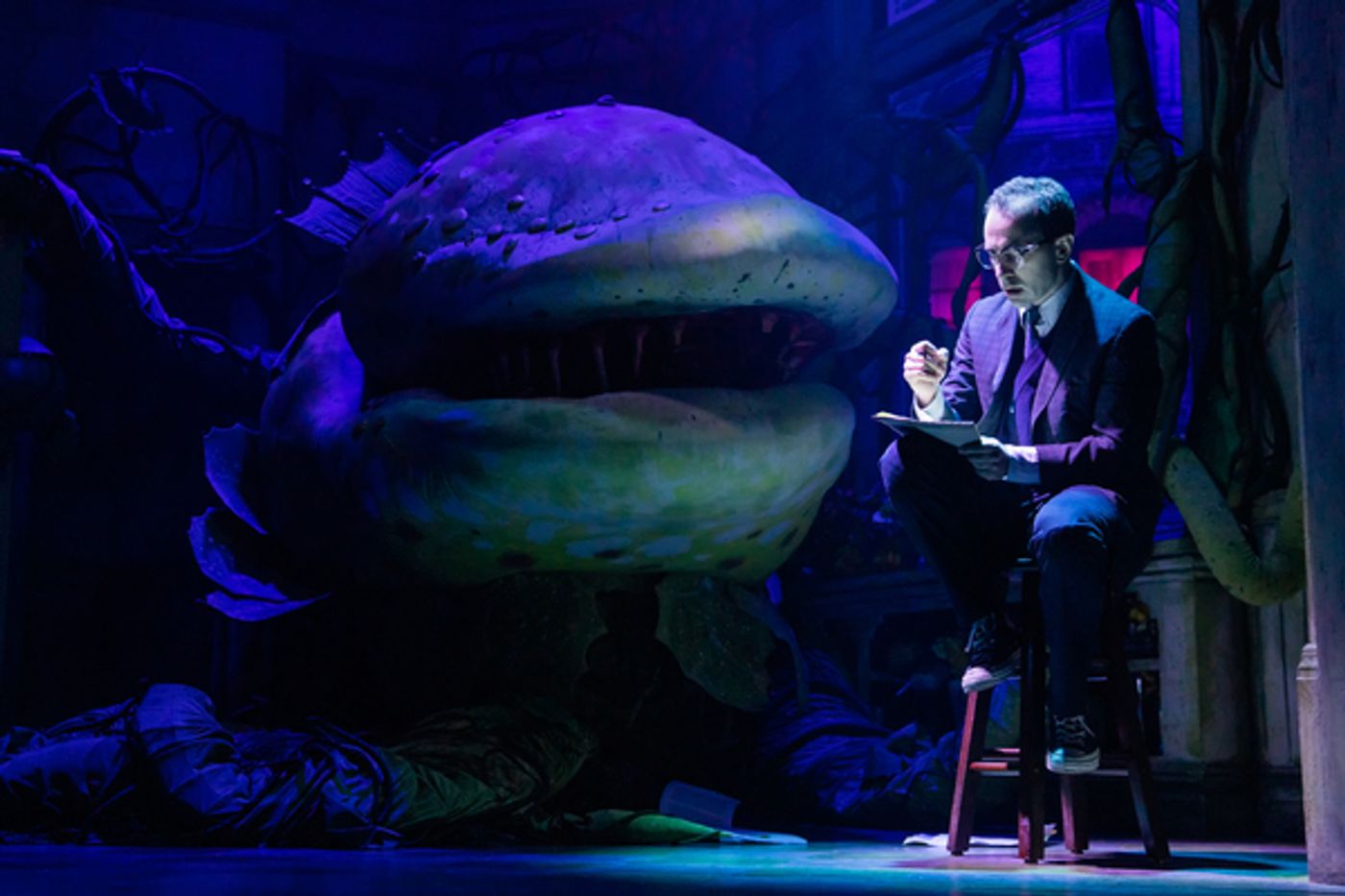 Photos: First Look at Rob McClure as 'Seymour' in LITTLE SHOP OF HORRORS  Image