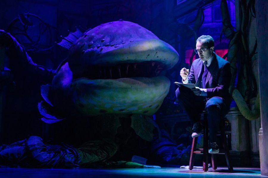 Photos: First Look at Rob McClure as 'Seymour' in LITTLE SHOP OF HORRORS Image