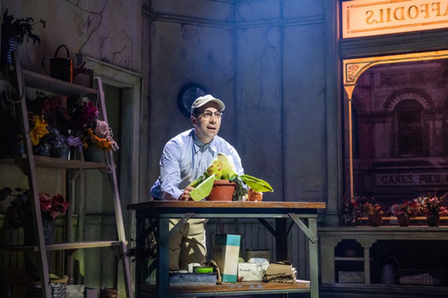 Photos: First Look at Rob McClure as 'Seymour' in LITTLE SHOP OF HORRORS Image