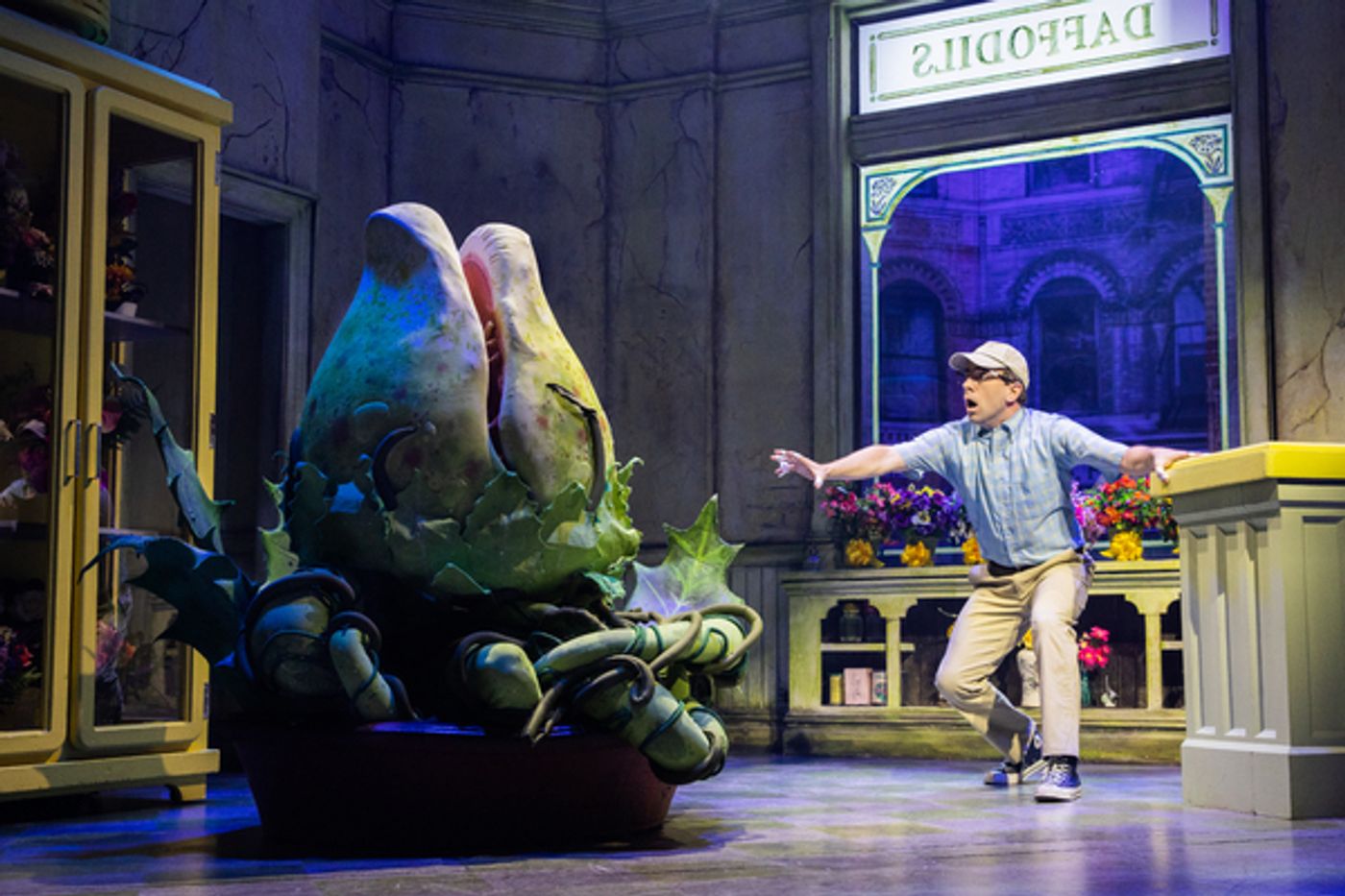 Photos: First Look at Rob McClure as 'Seymour' in LITTLE SHOP OF HORRORS  Image