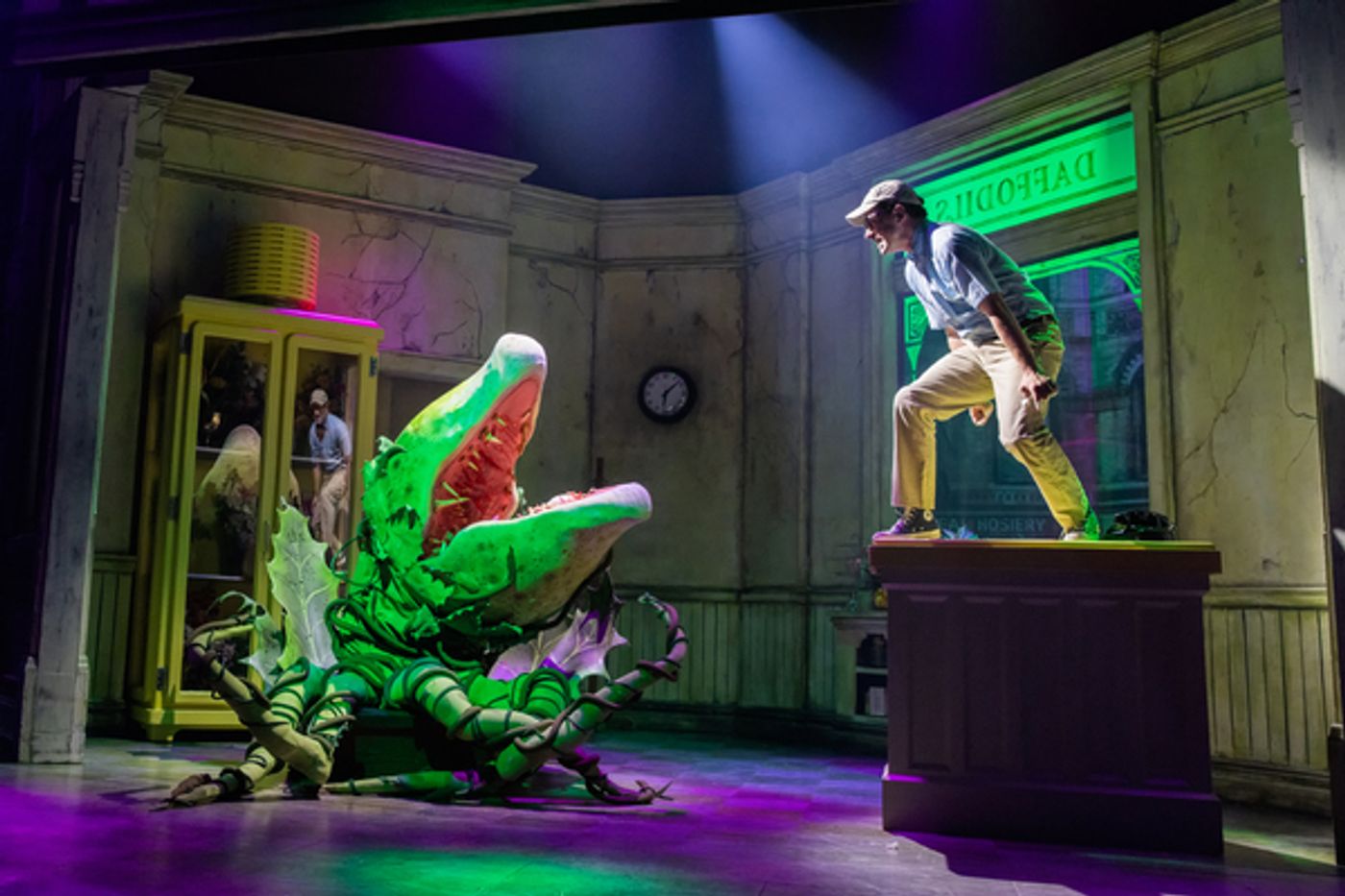 Photos: First Look at Rob McClure as 'Seymour' in LITTLE SHOP OF HORRORS  Image