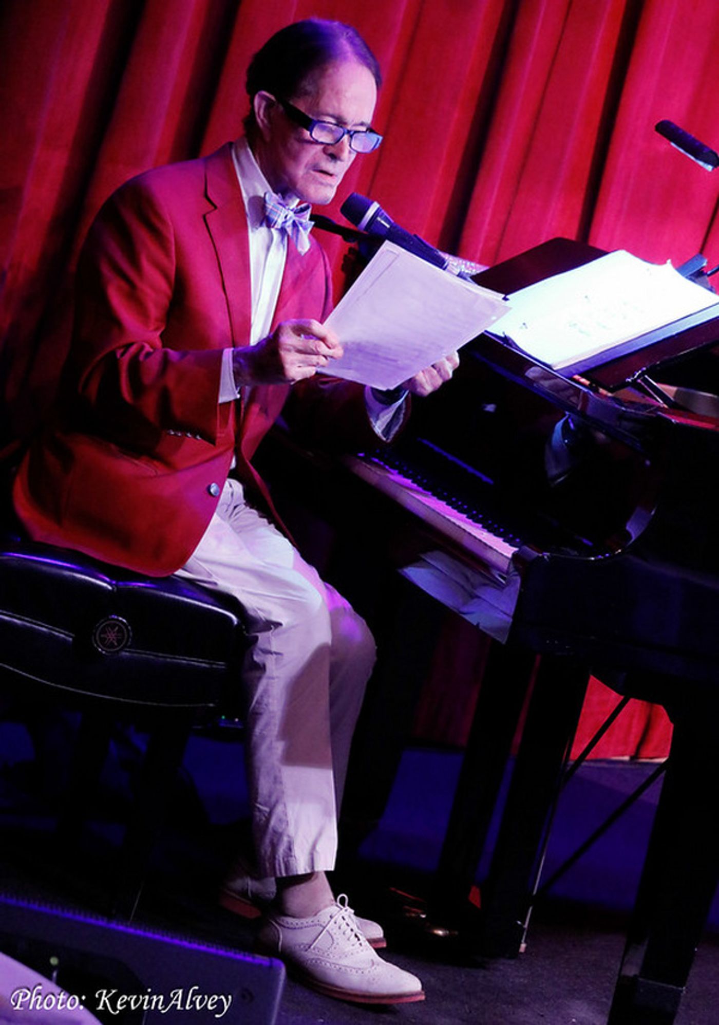 Photos: Steve Ross Sings Cole Porter at Birdland, Featuring David Maiocco  Image