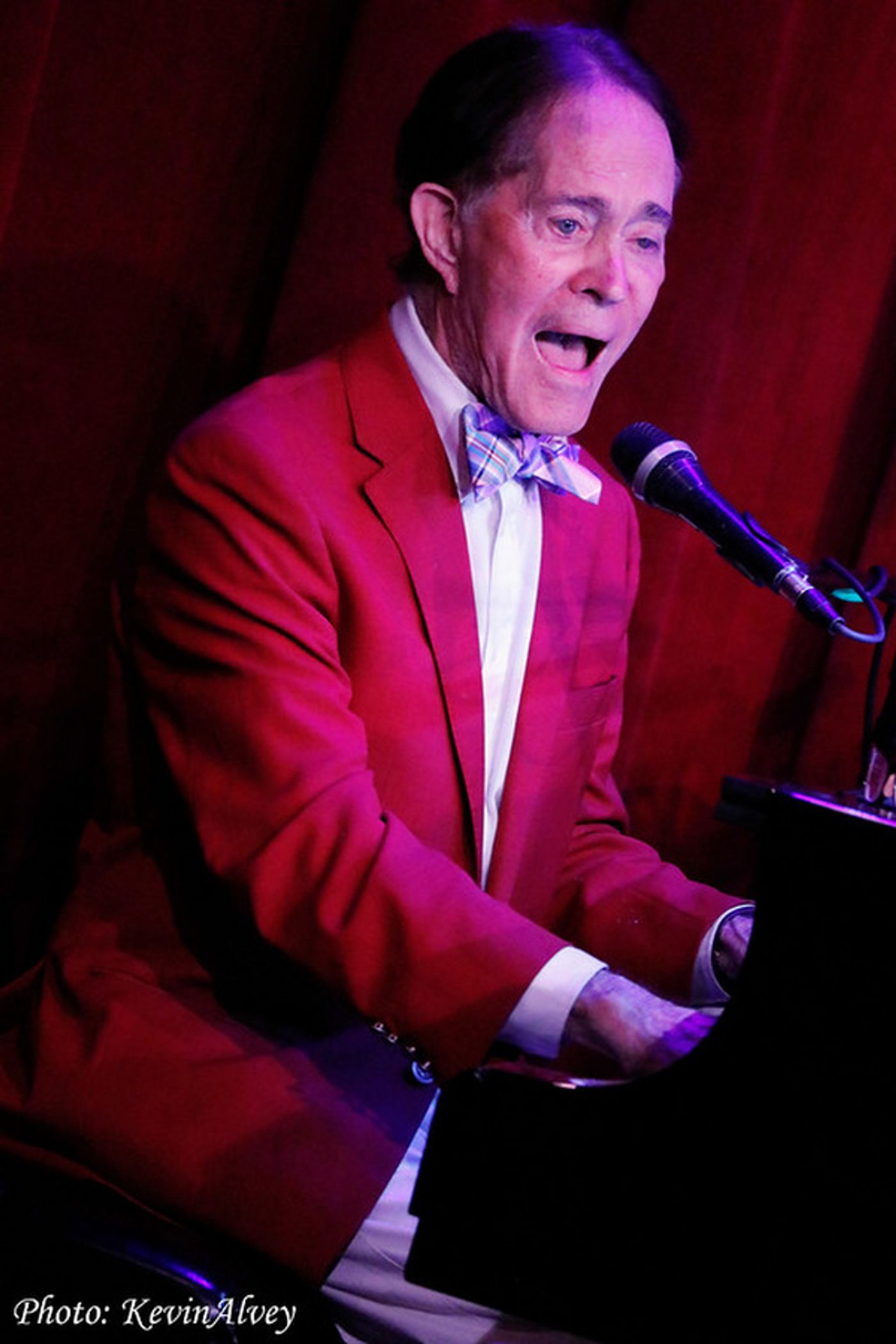 Photos: Steve Ross Sings Cole Porter at Birdland, Featuring David Maiocco  Image