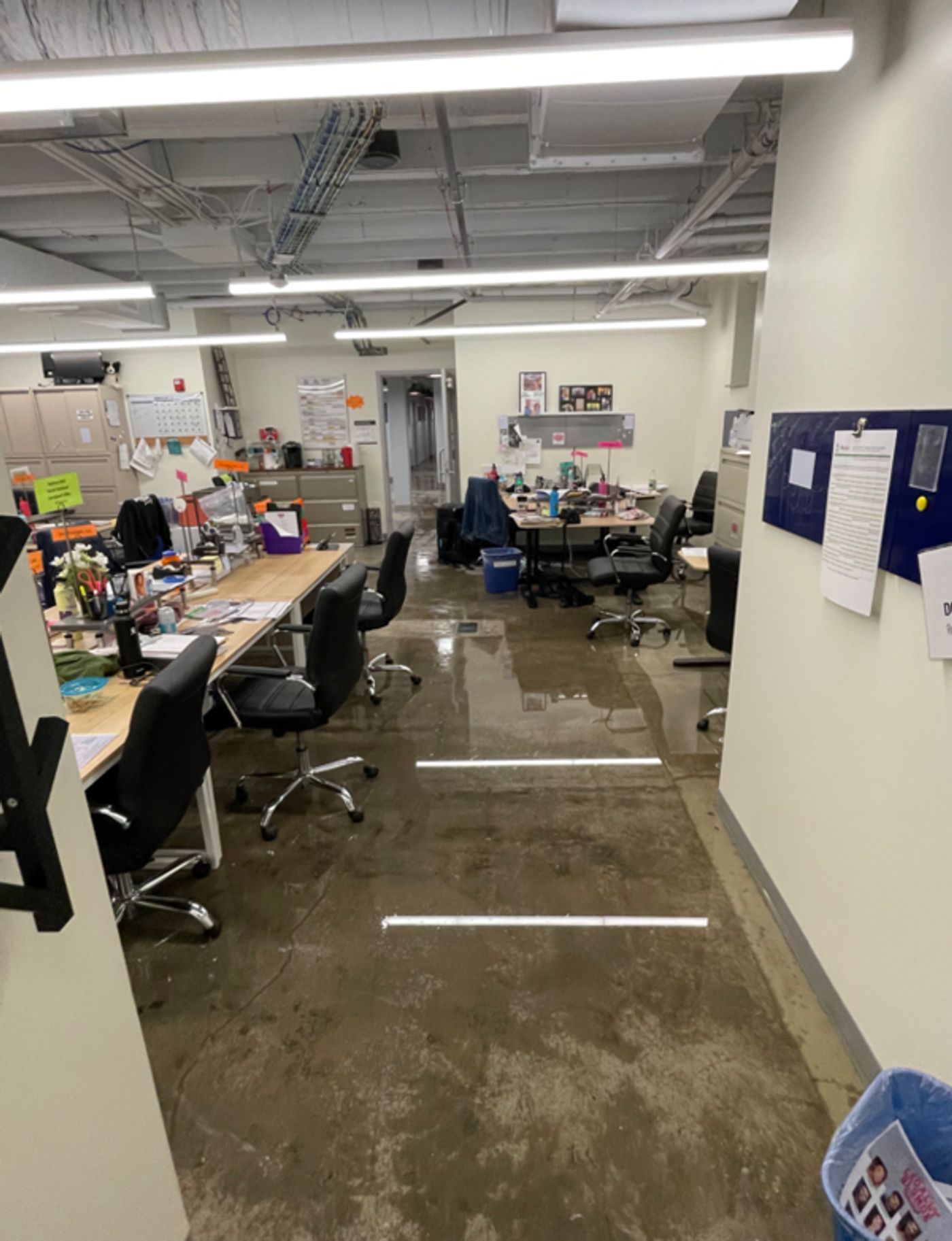 Photos: The Muny Postpones Tonight's Performance of LEGALLY BLONDE Due to Flooding  Image