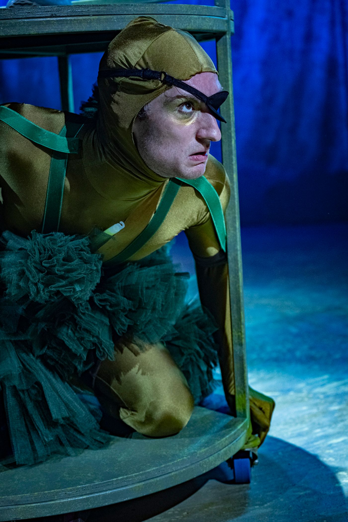 Photos: Southwark Playhouse Presents YEAST NATION  Image