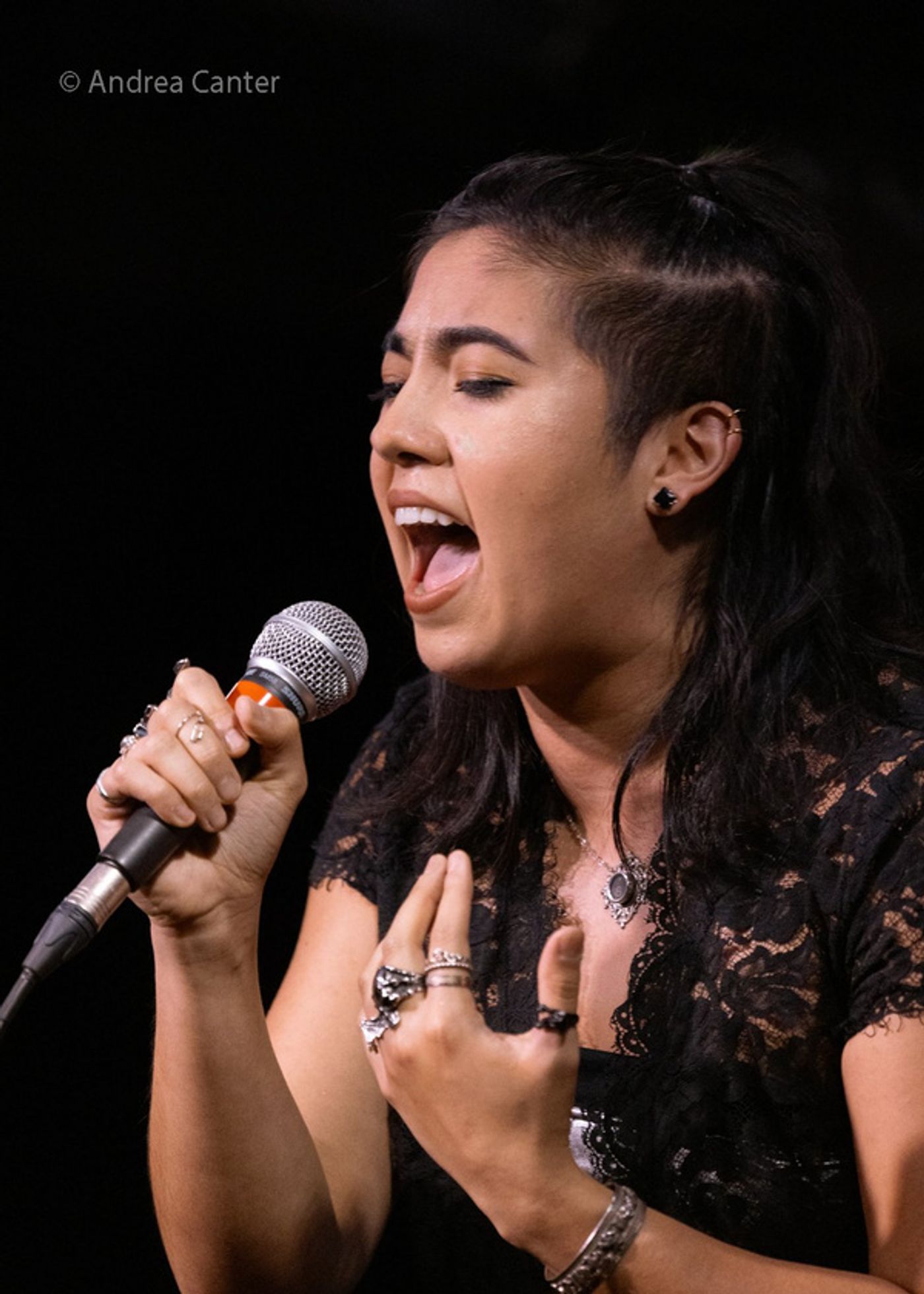 Photos: Jim Caruso's Cast Party Celebrates Talent At Crooners in Minneapolis  Image