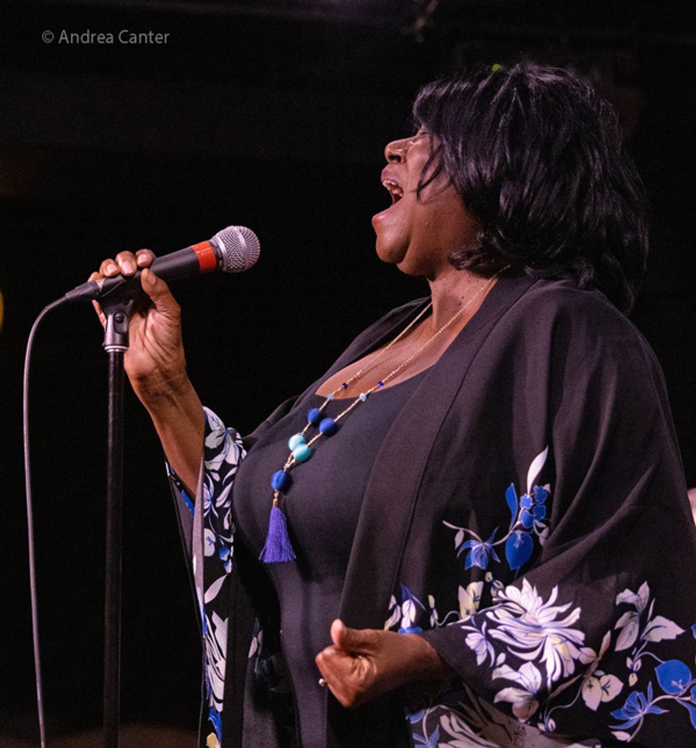 Photos: Jim Caruso's Cast Party Celebrates Talent At Crooners in Minneapolis  Image