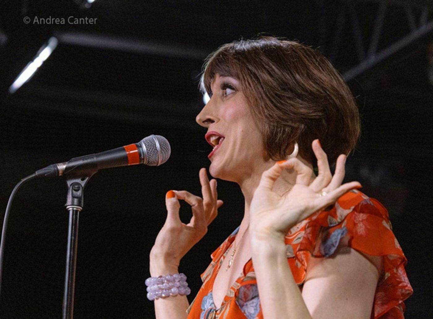 Photos: Jim Caruso's Cast Party Celebrates Talent At Crooners in Minneapolis  Image