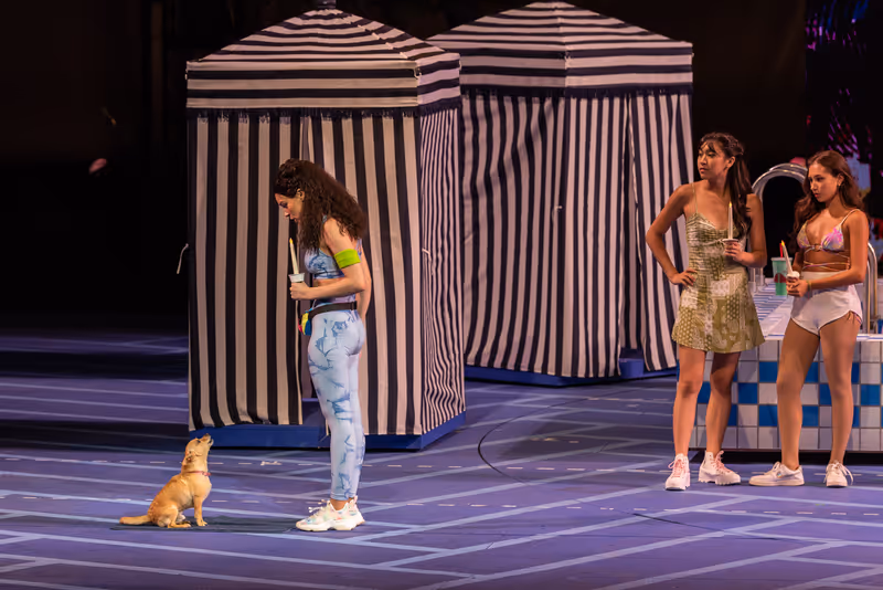 Photos/Video: Get a First Look at LEGALLY BLONDE at the Muny Starring Kyla Stone, Patti Murin & More! — photo 9 of 13