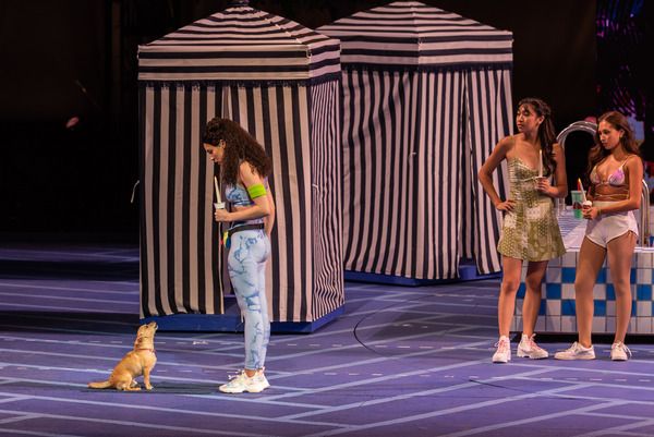 Photos/Video: Get a First Look at LEGALLY BLONDE at the Muny Starring Kyla Stone, Patti Murin & More! — photo 9 of 13