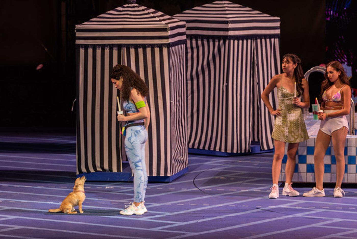 Photos/Video: Get a First Look at LEGALLY BLONDE at the Muny Starring Kyla Stone, Patti Murin & More! Photos/Video: Get a First Look at LEGALLY BLONDE at the Muny Starring Kyla Stone, Patti Murin & More! Image