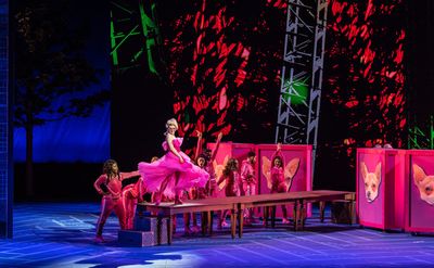 The Company of Legally Blonde Photo