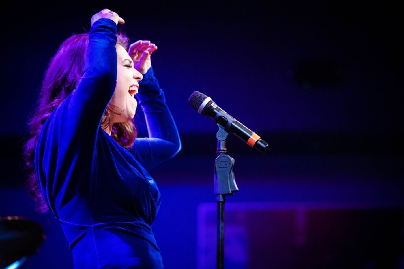 Photos: July 26th THE LINEUP WITH SUSIE MOSHER at Birdland Theater Looks Exciting in Matt Baker's Photos. Photos: July 26th THE LINEUP WITH SUSIE MOSHER at Birdland Theater Looks Exciting in Matt Baker's Photos. Image