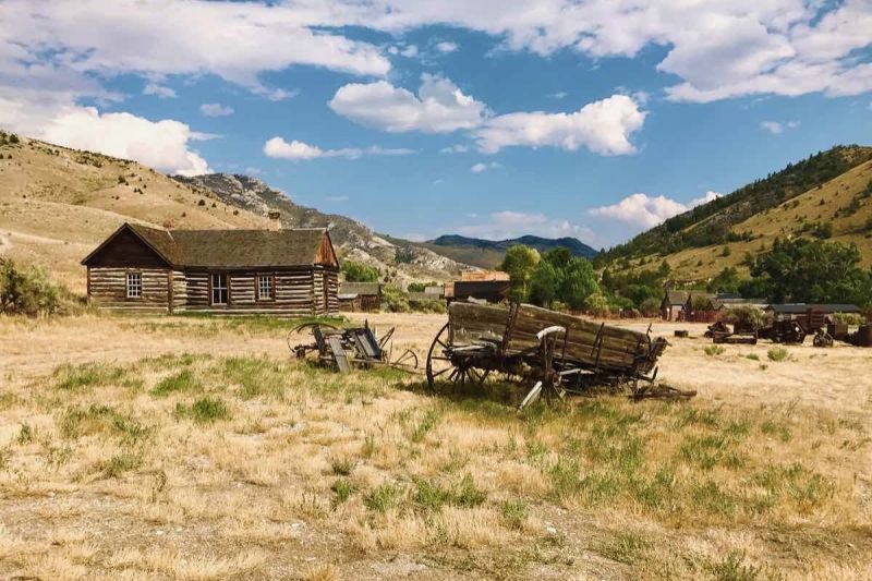 Review: COWBOY CAT: THE MUSICAL! at Mixed Blood Theatre Review: COWBOY CAT: THE MUSICAL! at Mixed Blood Theatre Image