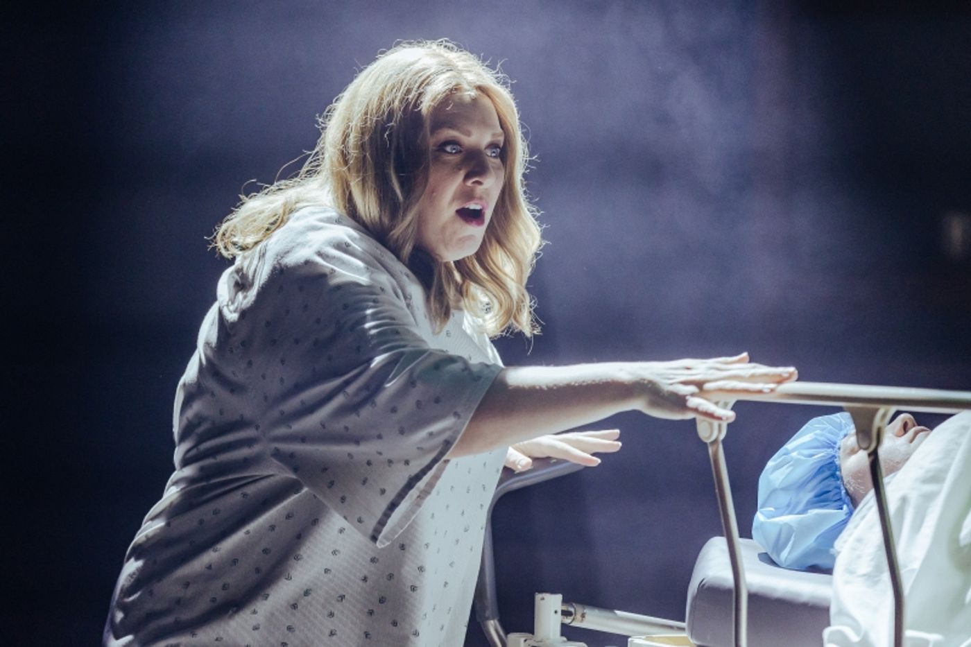 Review: NEXT TO NORMAL at Mac-Haydn Theatre  Image