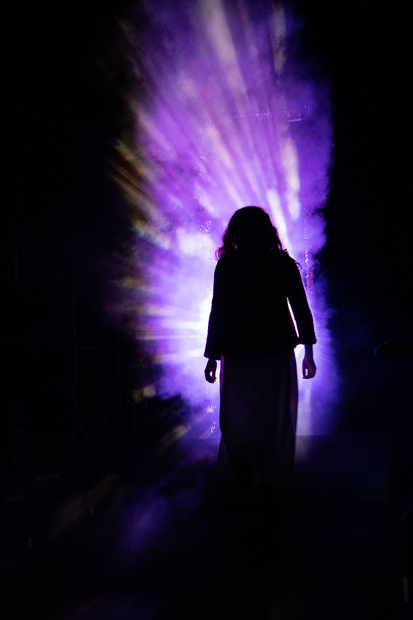 Photos: See Max von Essen and More In THE SECRET GARDEN At Broadway At Music Circus  Image