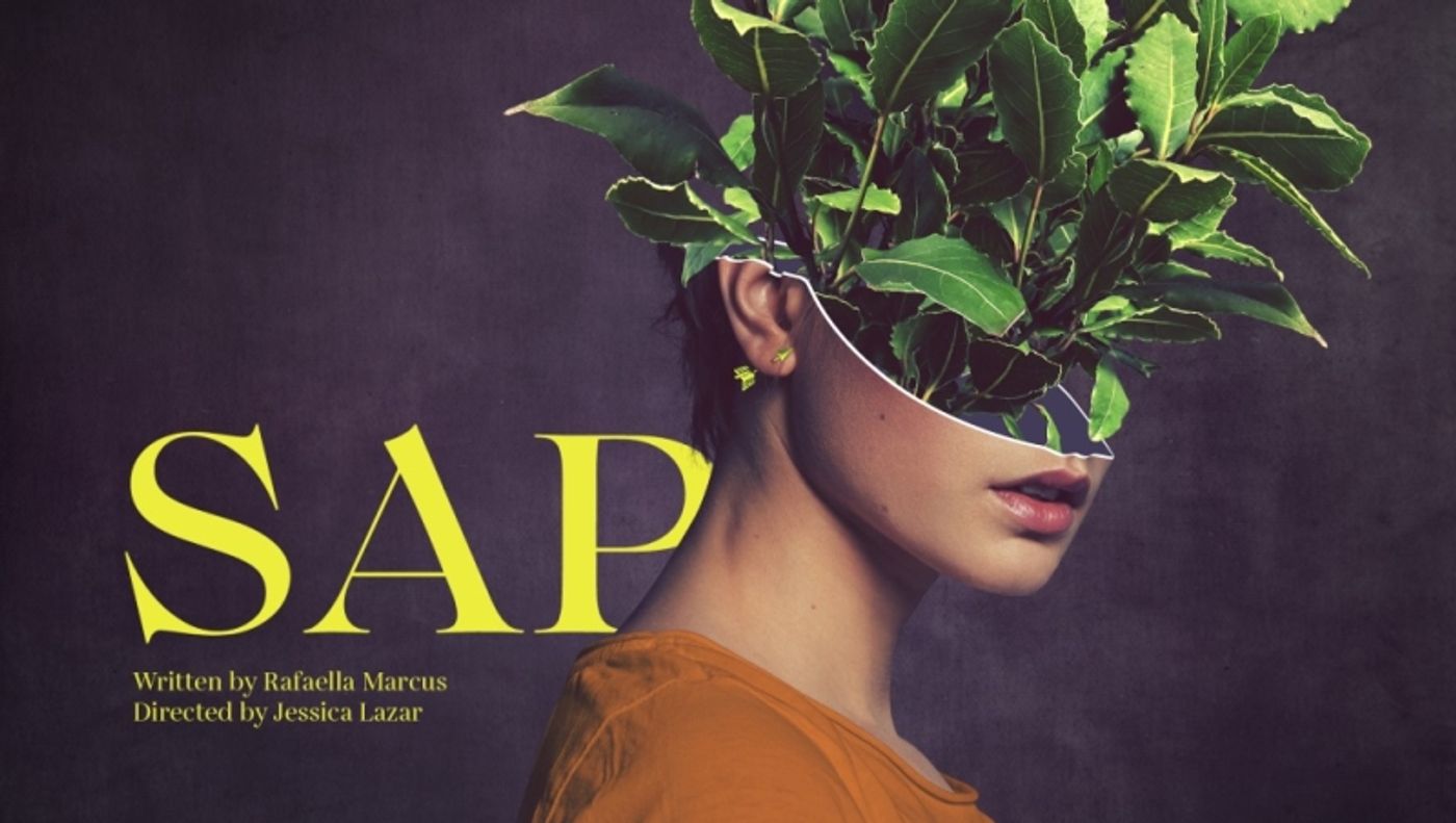 Review: SAP, Summerhall  Image