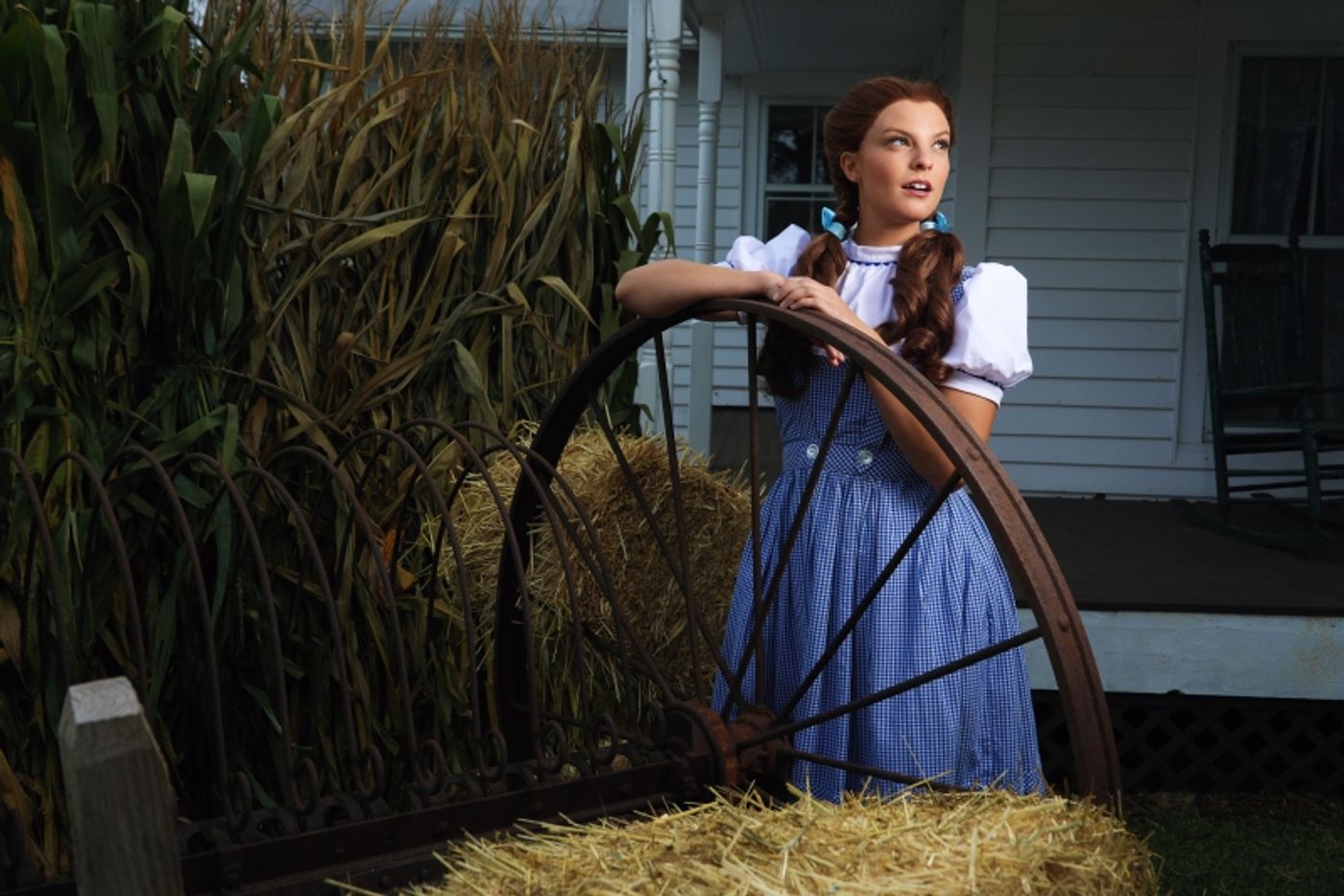 Interview: Sean Barrett of THE LAND OF OZ at Autumn At Oz Festival  Image