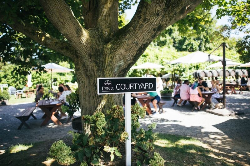 LONG ISLAND WINES-Get to Know the Region and Selections  Image