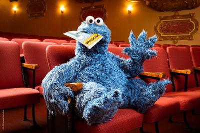 Cookie Monster Photo