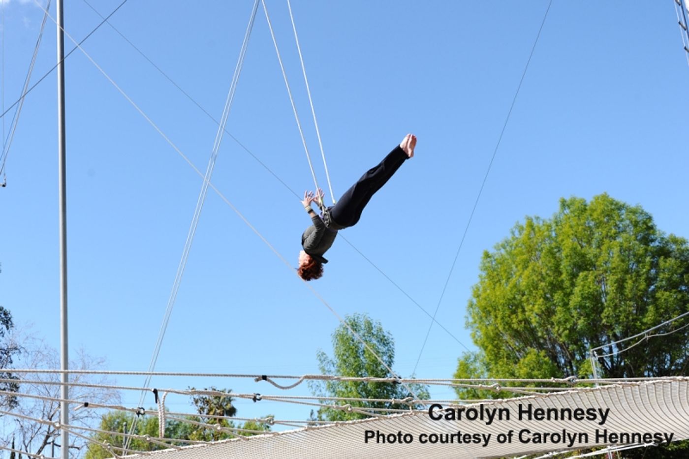 Interview: THE SECRET WORLD of Carolyn Hennesy Never Stops With ARCHY & MEHITABEL  Image