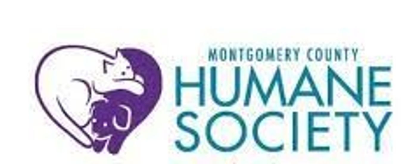 News: DC Artists Come Together in a Cabaret Evening for Montgomery County Humane Society News: DC Artists Come Together in a Cabaret Evening for Montgomery County Humane Society Image