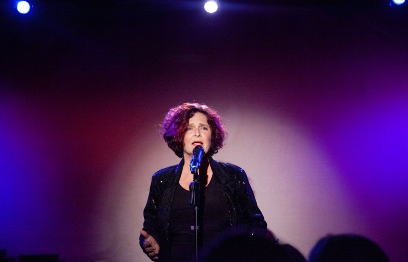 Photos: Therese Lee Plays RIDING THE BUS TO THE RED CARPET at Don't Tell Mama Photos: Therese Lee Plays RIDING THE BUS TO THE RED CARPET at Don't Tell Mama Image