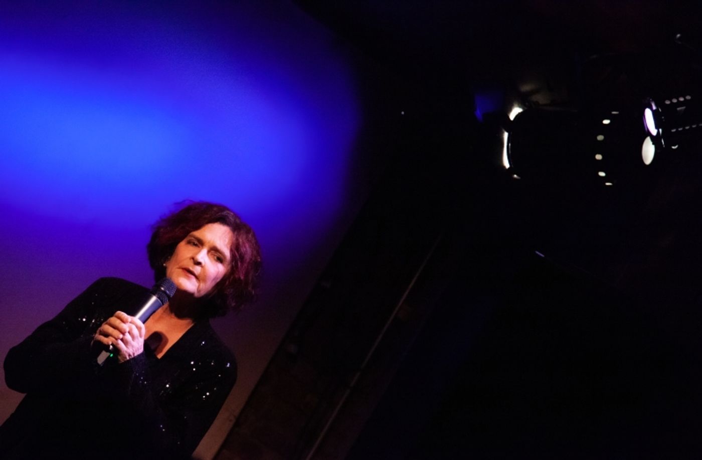 Photos: Therese Lee Plays RIDING THE BUS TO THE RED CARPET at Don't Tell Mama Photos: Therese Lee Plays RIDING THE BUS TO THE RED CARPET at Don't Tell Mama Image