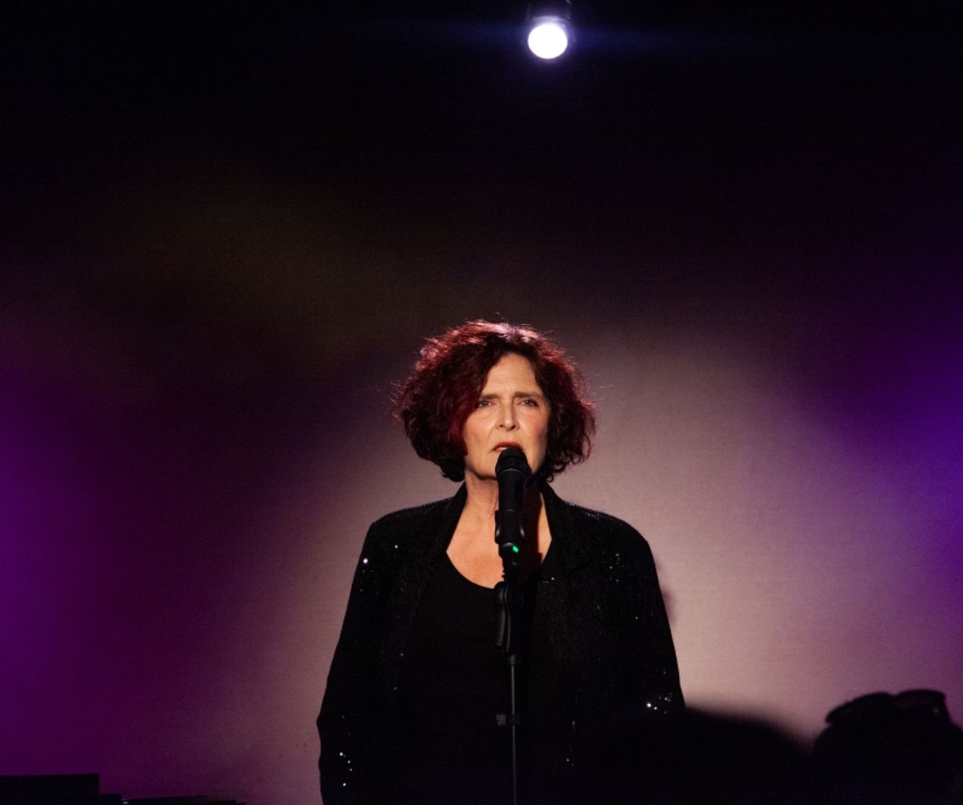 Photos: Therese Lee Plays RIDING THE BUS TO THE RED CARPET at Don't Tell Mama Photos: Therese Lee Plays RIDING THE BUS TO THE RED CARPET at Don't Tell Mama Image