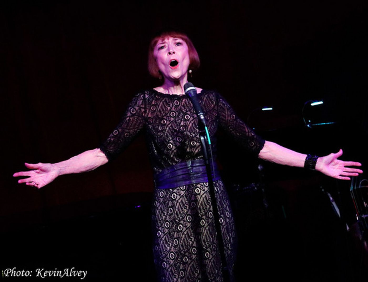 Photos: Karen Akers Returns To Birdland With WATER UNDER THE BRIDGE  Image