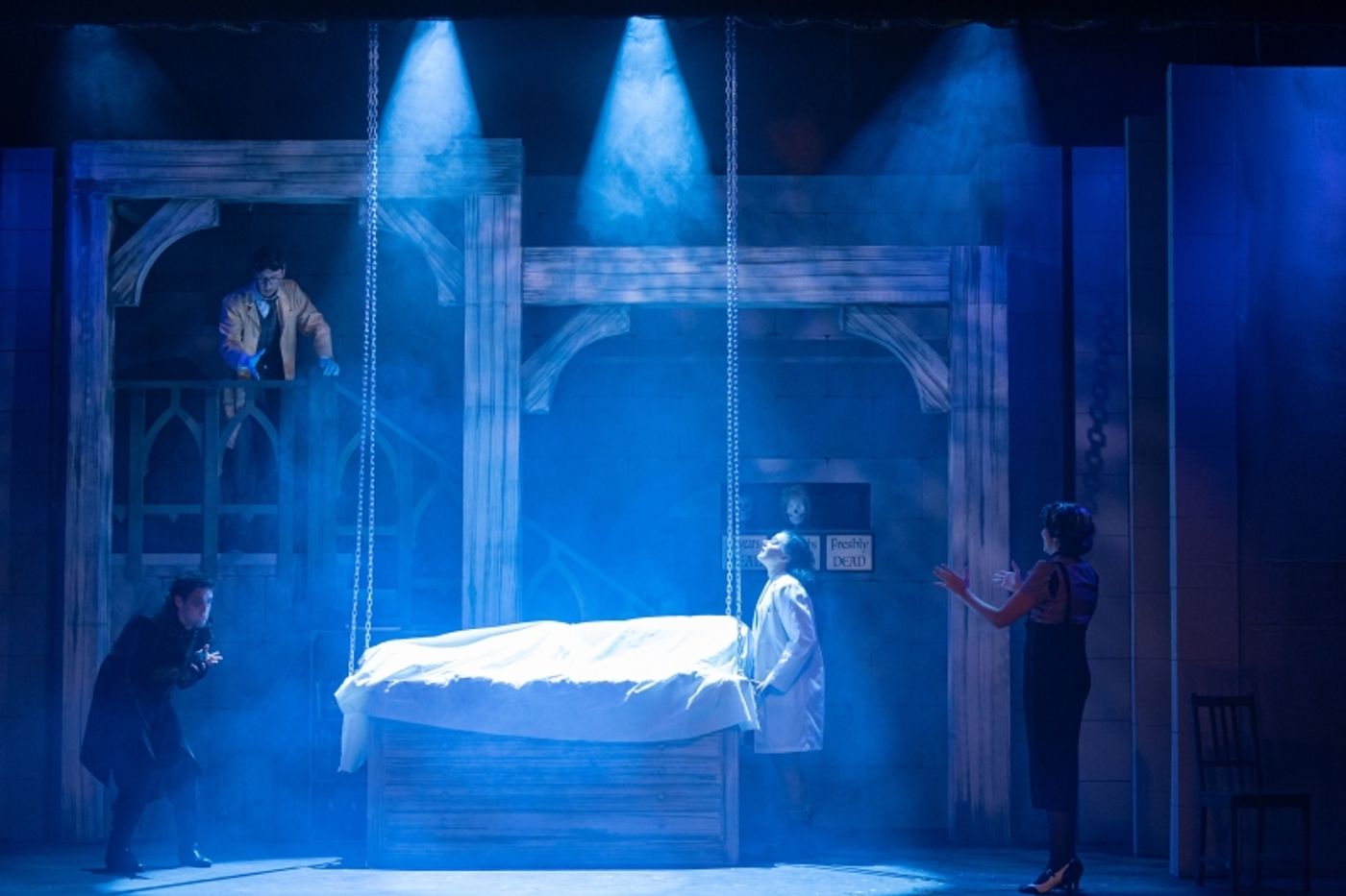 Review: YOUNG FRANKENSTEIN at Osceola Arts  Image
