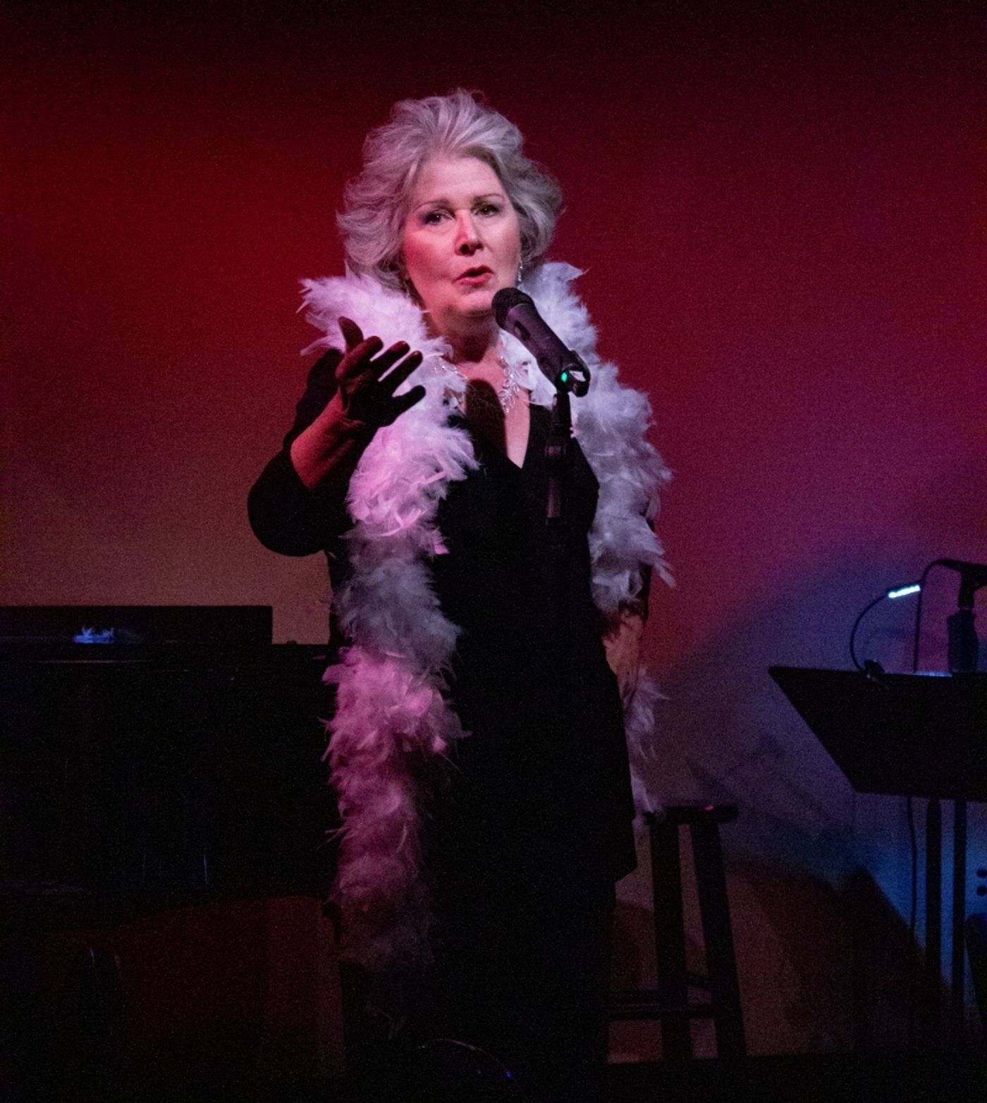 Review: Amy Beth Williams In GREAT LADIES, GREAT SONGS at Don't Tell Mama Is Must-See Cabaret  Image