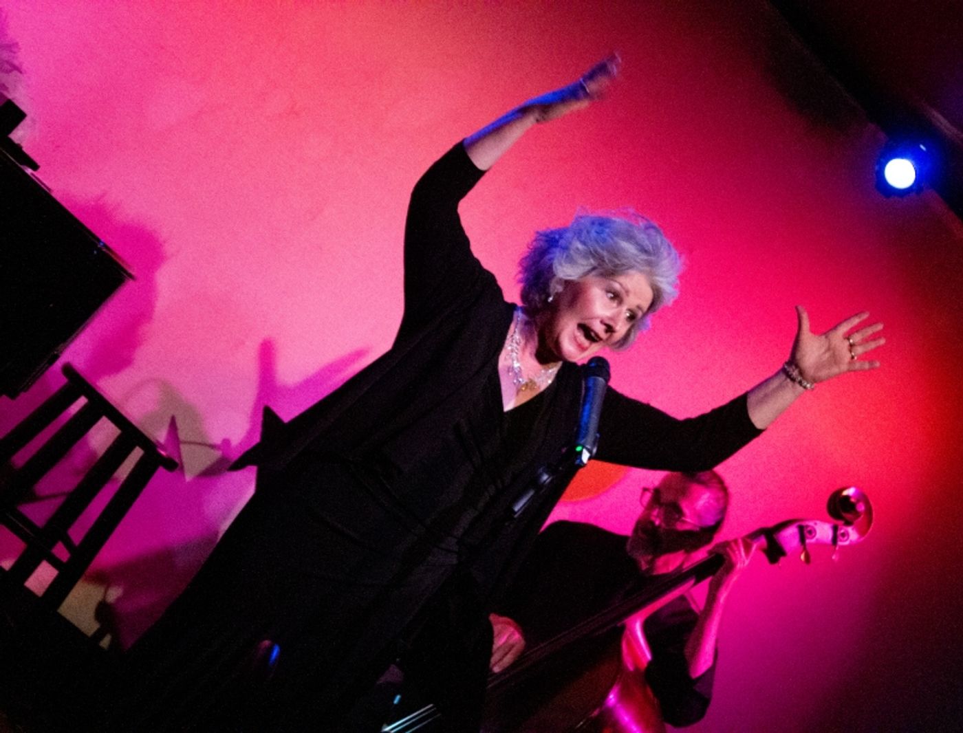 Review: Amy Beth Williams In GREAT LADIES, GREAT SONGS at Don't Tell Mama Is Must-See Cabaret  Image