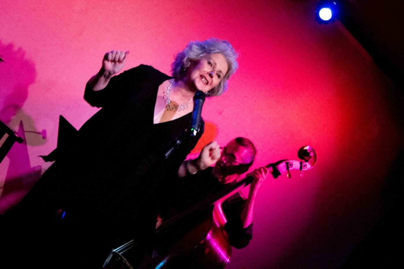 Review: Amy Beth Williams In GREAT LADIES, GREAT SONGS at Don't Tell Mama Is Must-See Cabaret  Image