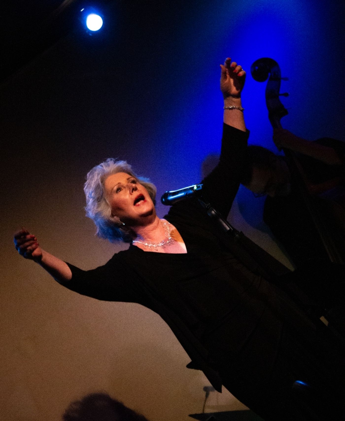 Review: Amy Beth Williams In GREAT LADIES, GREAT SONGS at Don't Tell Mama Is Must-See Cabaret  Image