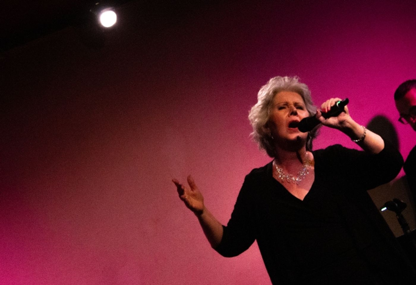 Review: Amy Beth Williams In GREAT LADIES, GREAT SONGS at Don't Tell Mama Is Must-See Cabaret  Image